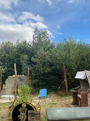 Strandkorb Original